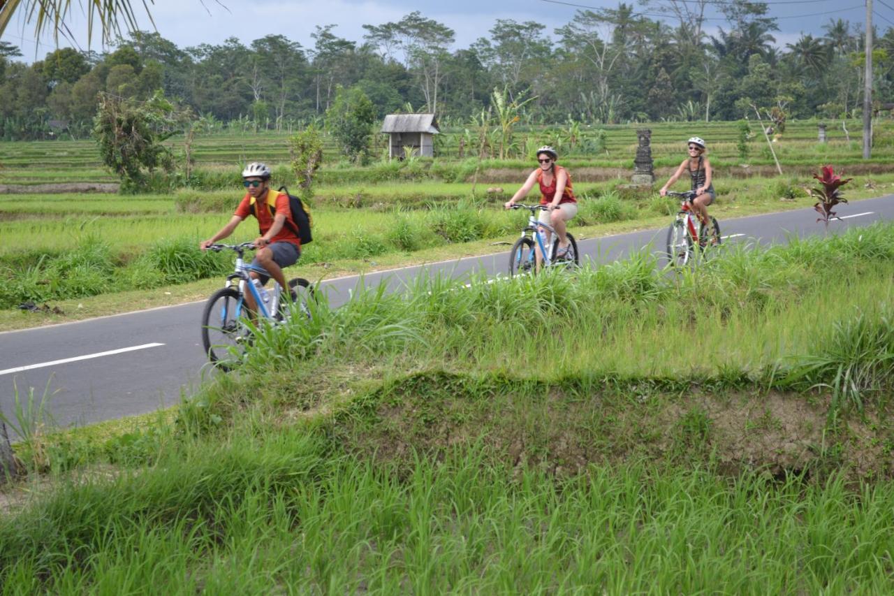 Bali Culture Guesthouse Ubud  Ngoại thất bức ảnh