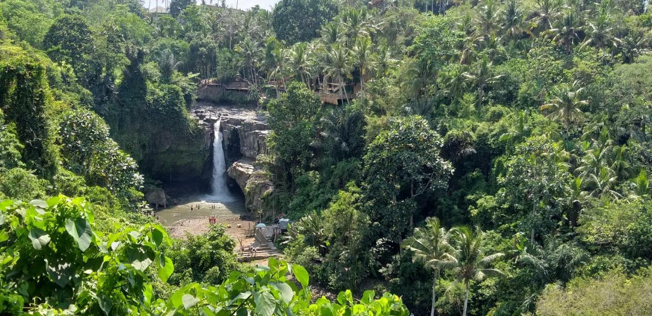 Bali Culture Guesthouse Ubud  Ngoại thất bức ảnh